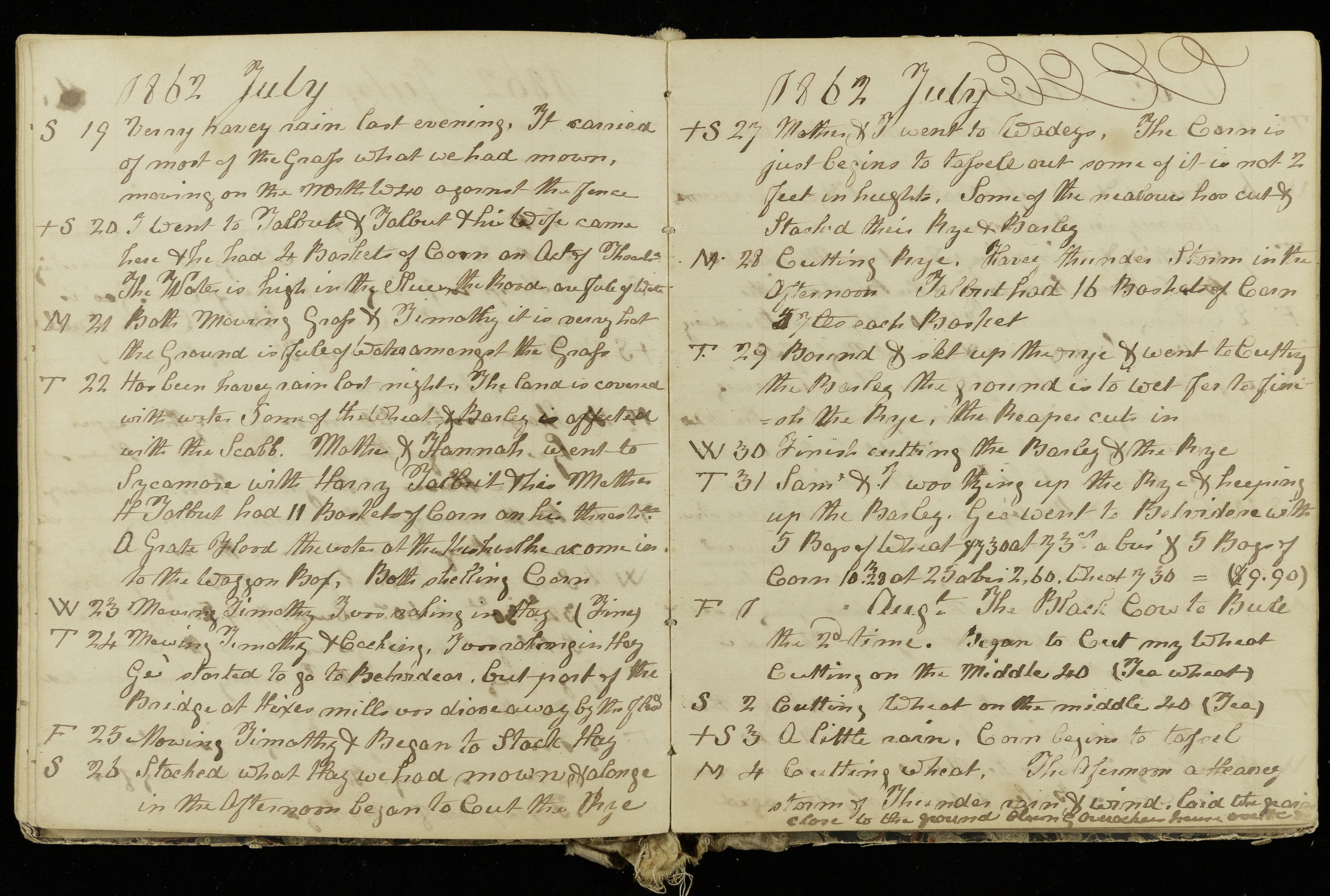 Manuscript Journal of an Amateur Meteorologist, Agronomist and Journalist from Illinois, 1860-1863.