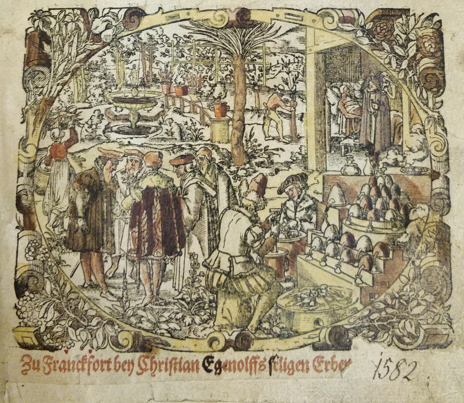 Kreuterbuch 1598 edition