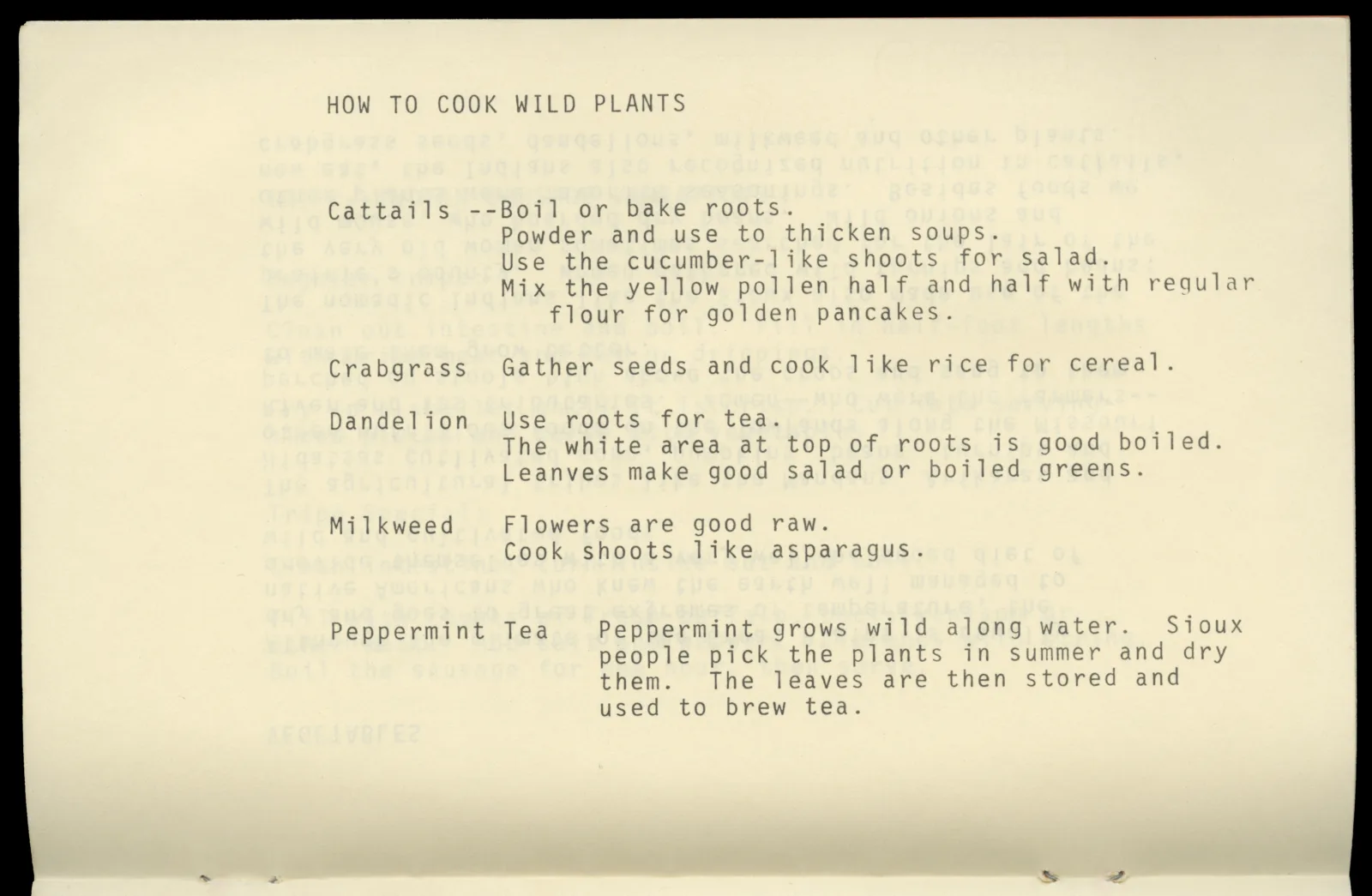 Typed text that reads: "How to cook wild plants. Cattails--boil or bake roots. Powder and use to thicken soups. Use the cucumber-like shoots for salad. Mix the yellow pollen half and half with regular flour for golden pancakes. Crabgrass--gather seeds and cook like rice for cereal. Dandelion--use roots for tea. The white area at top of roots is good boiled. Leaves make good salad or boiled greens. Milkweed--Flowers are good raw. Cook shoots like asparagus. Peppermint tea--peppermint grows wild along water. Sioux people pick the plants in summer and dry them. The leaves are then stored and used to brew tea."