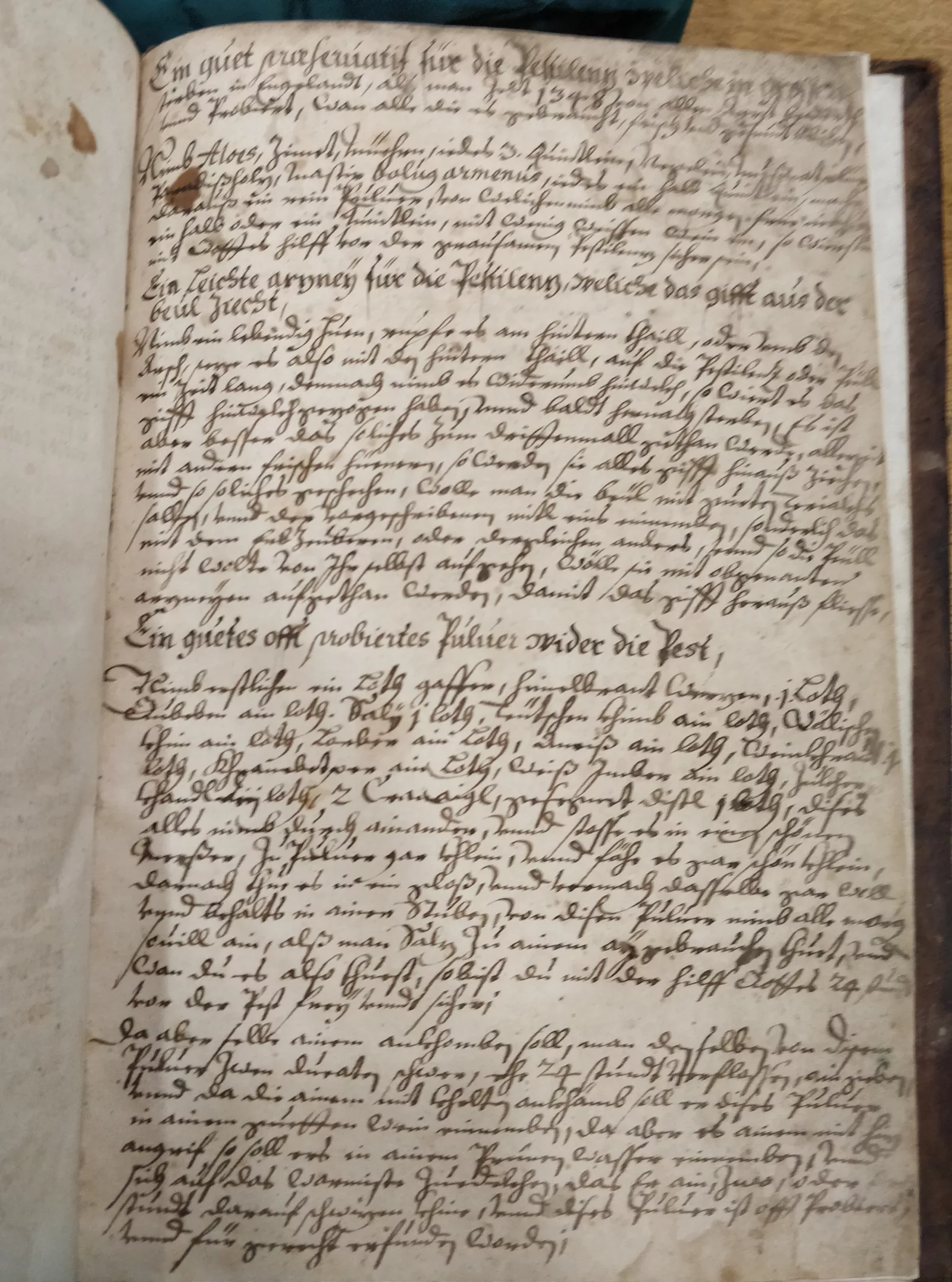 Manuscript Herbal Remedies 1